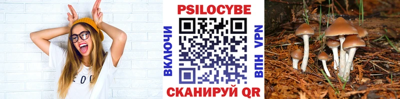 Псилоцибиновые грибы Magic Shrooms  omg ТОР  Малая Вишера 